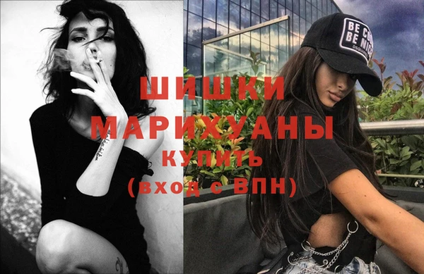 гидра Магас
