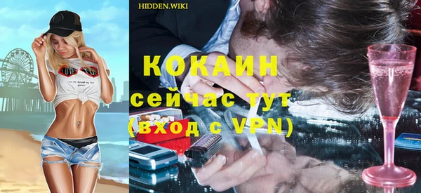 гидра Магас