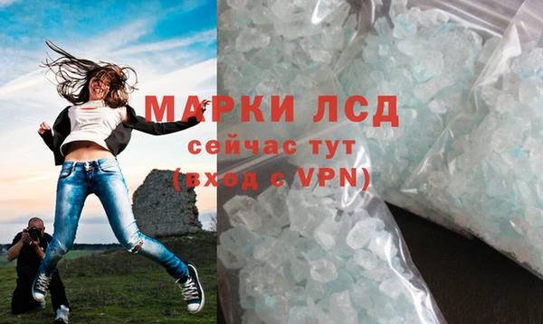 гидра Магас