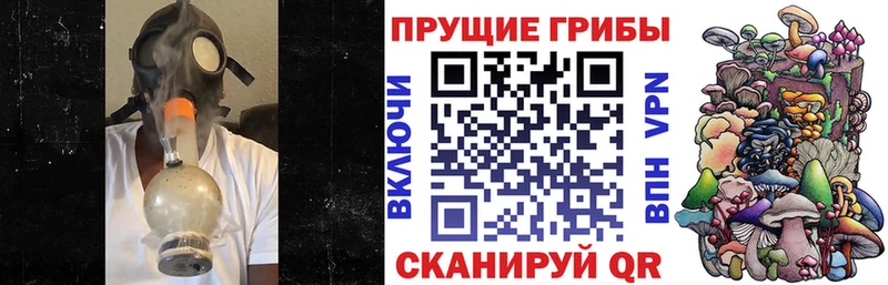 Галлюциногенные грибы Psilocybine cubensis  Купить закладки  Кодинск 